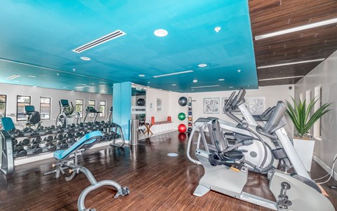 Fitness center with strength training machines at Oasis at Lake Encino Apartments, Encino, CA 91316