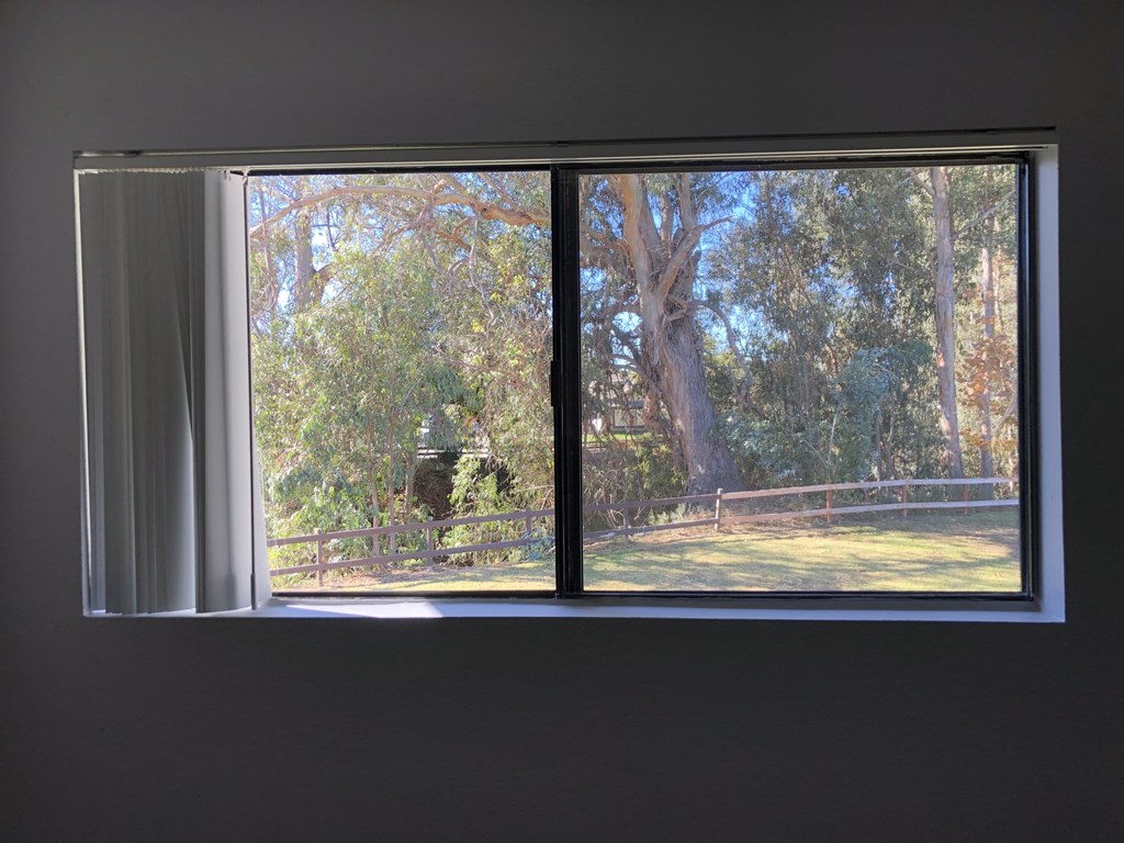 A window with a view of a tree-filled yard.