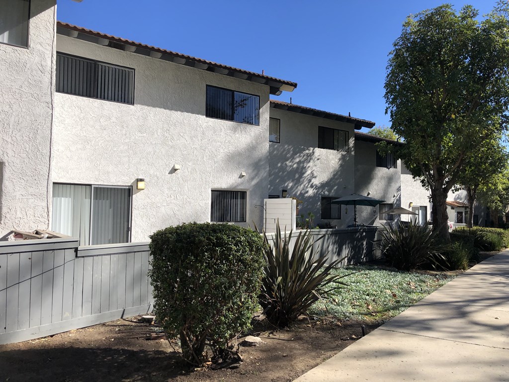 A white building with a tree in front of it.