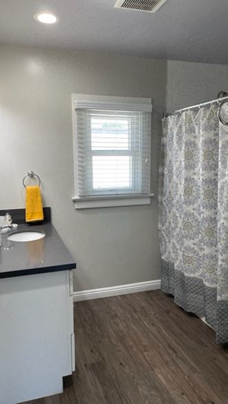 Interior view of bathroom with gray shower curtains