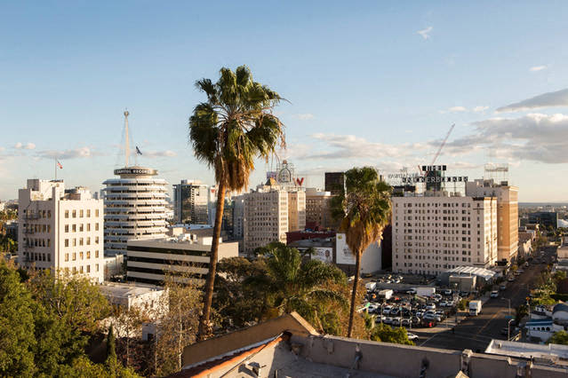 roof view with palm trees