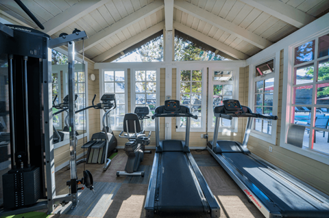 the gym has plenty of cardio equipment and windows