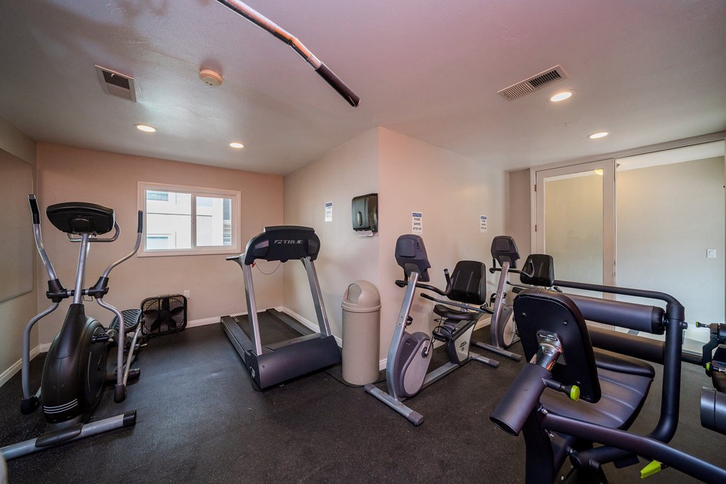 the gym at the whispering winds apartments in pearland, tx
