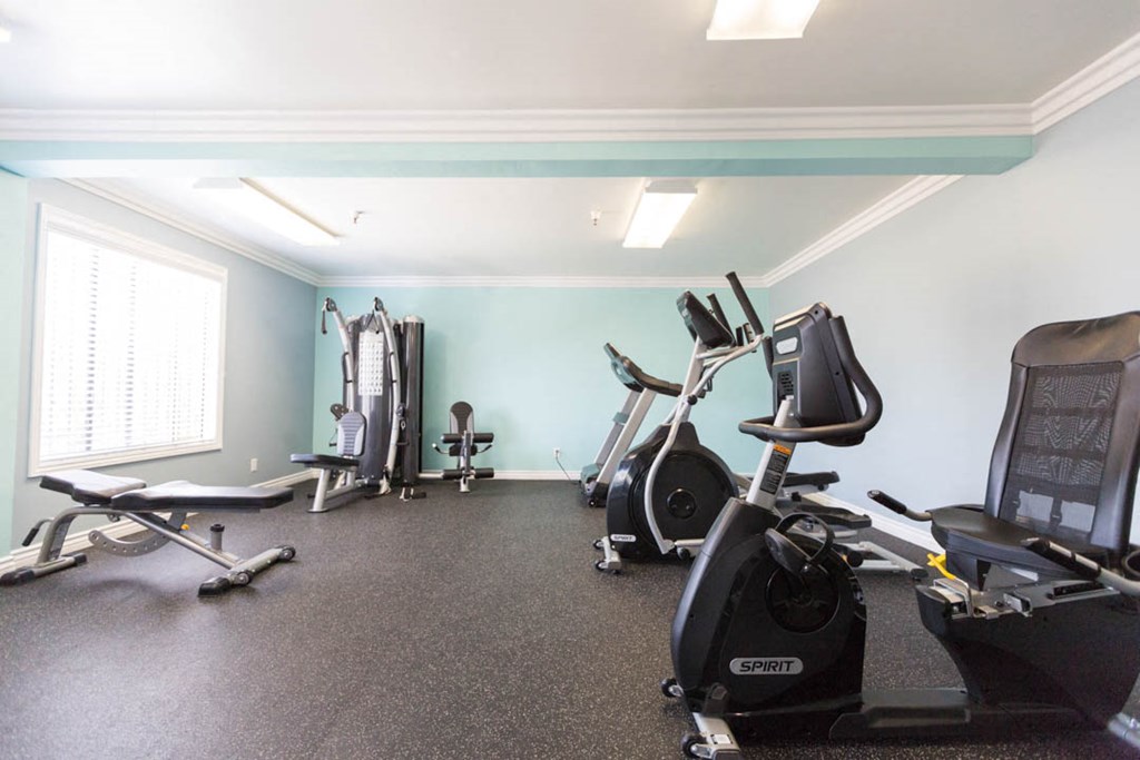 Gym with all the machinery