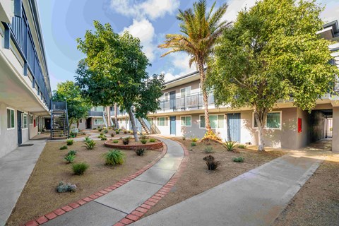 A courtyard with a red brick border and a variety of plants and trees.