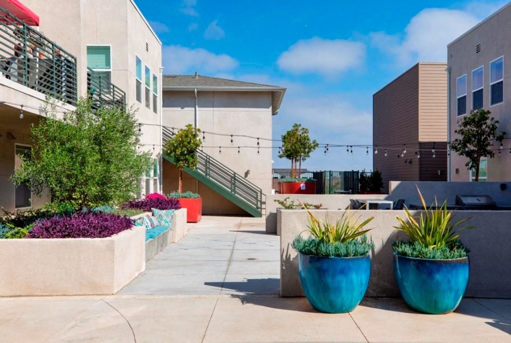 courtyard with plants