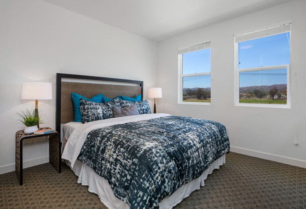 bedroom with 2 windows and queen bed