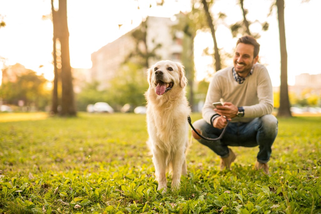 a man with his dog in a park