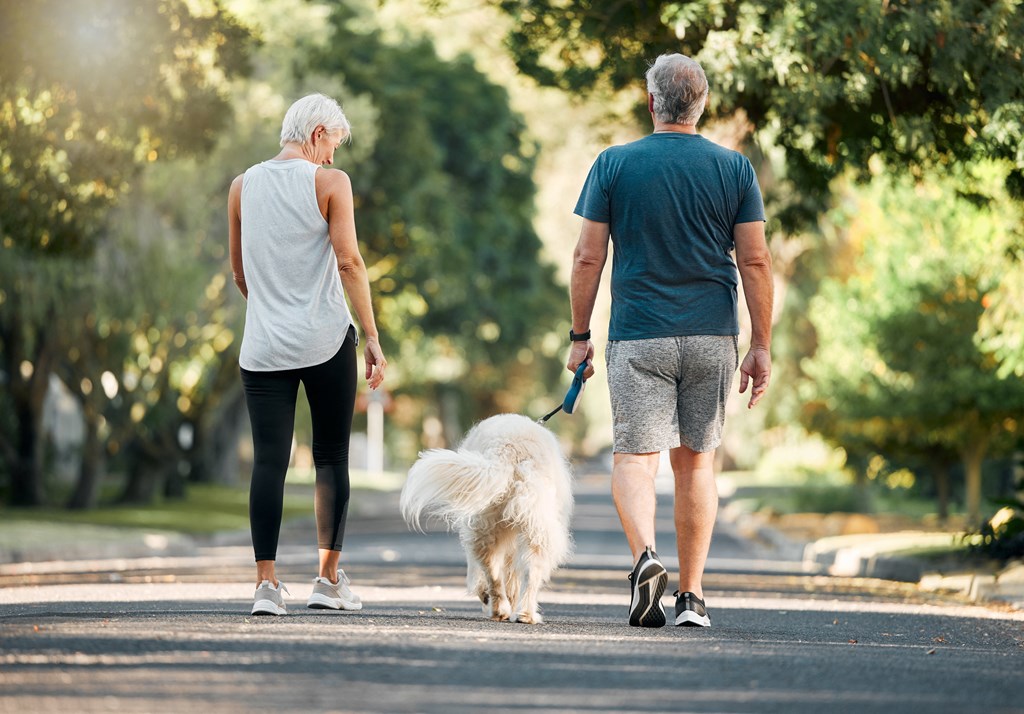 a man and woman walking a dog down a road