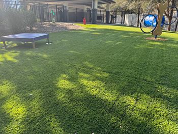 A backyard with a green lawn and a blue trampoline.