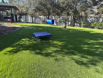 A backyard with a blue table and a fire hydrant.