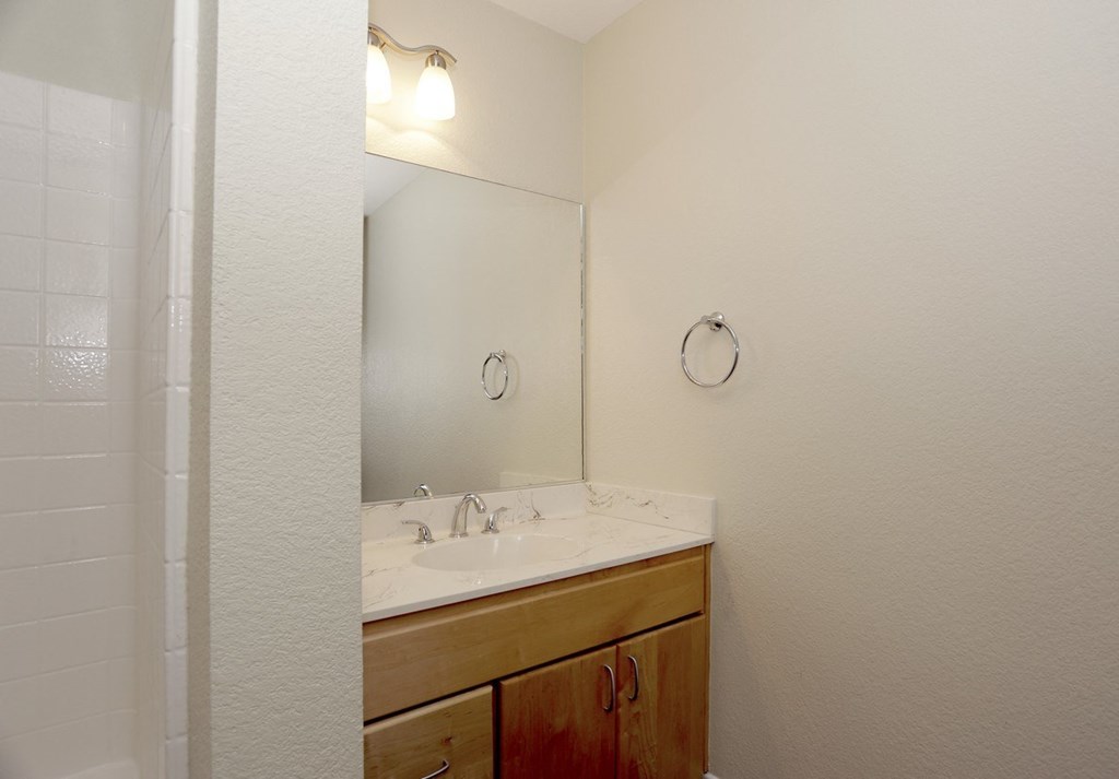 a bathroom with a sink and a mirror and a shower