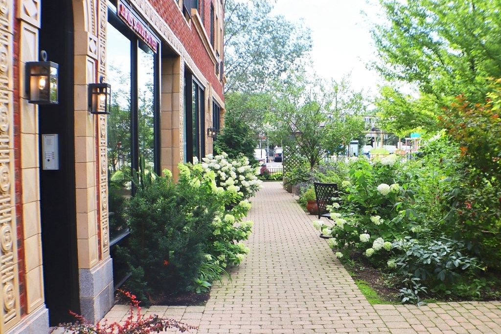a sidewalk lined with bushes and trees in front of a building