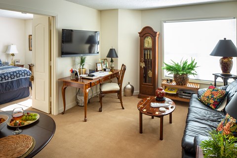 A living room with a couch, a coffee table, a bed, a TV, and a potted plant.