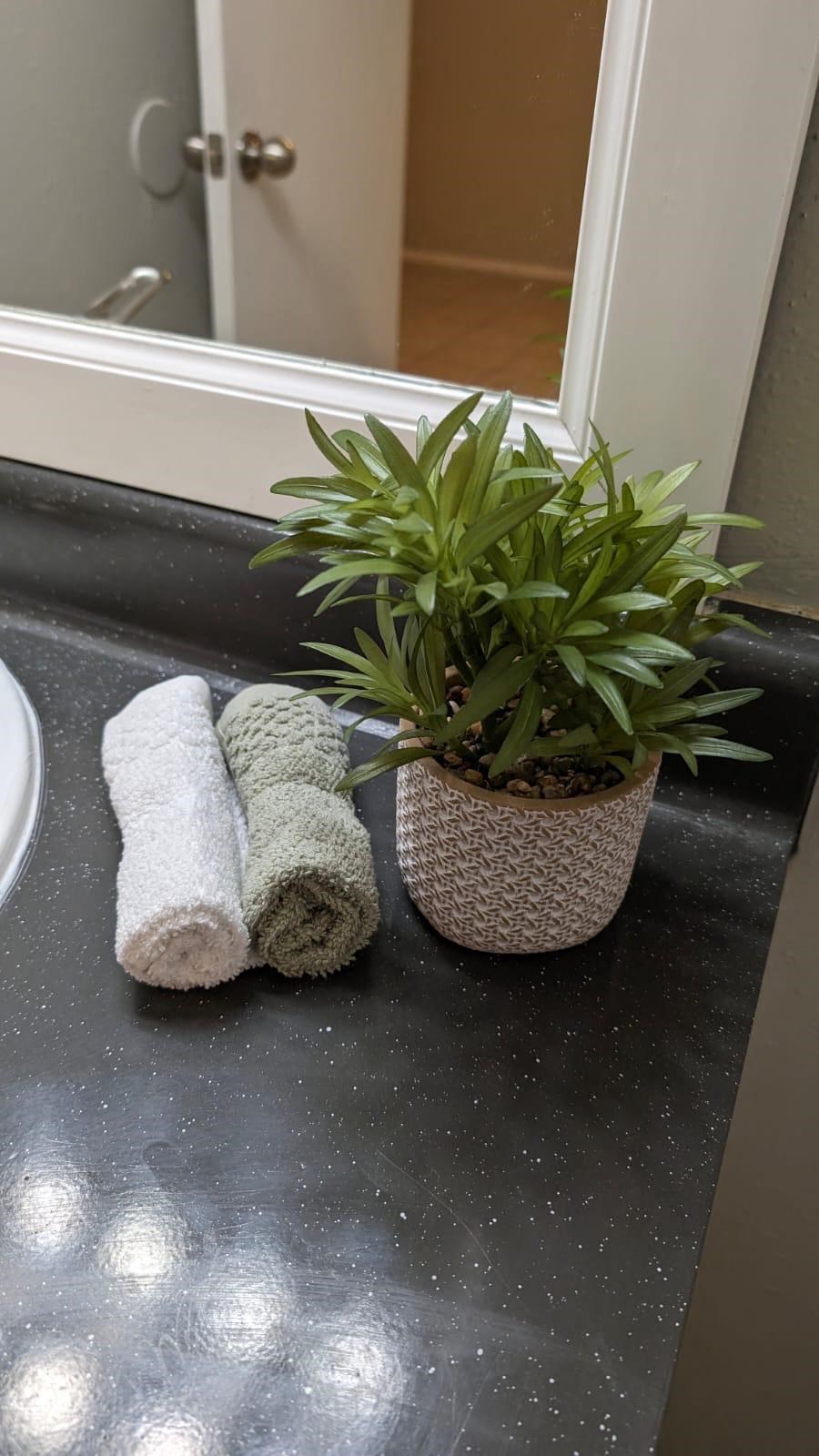 a potted plant sitting next to some towels on a bathroom sink