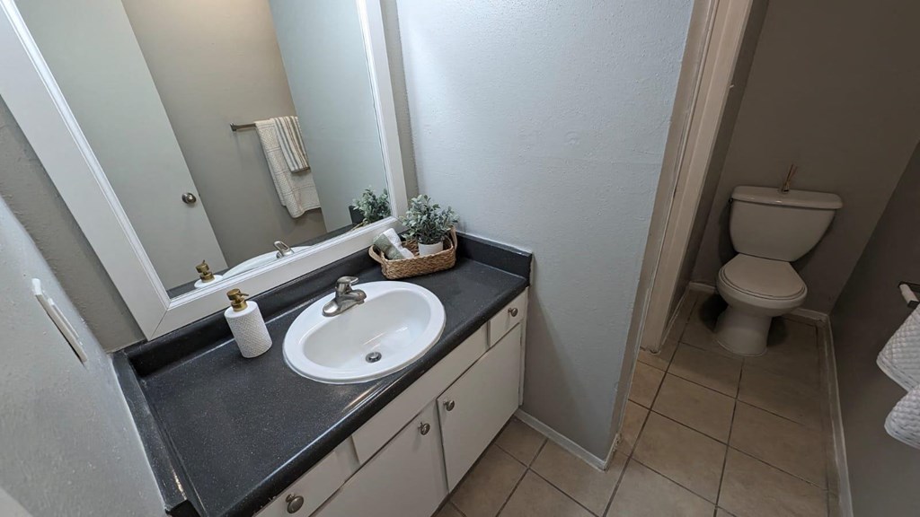 a bathroom with a sink and a toilet
