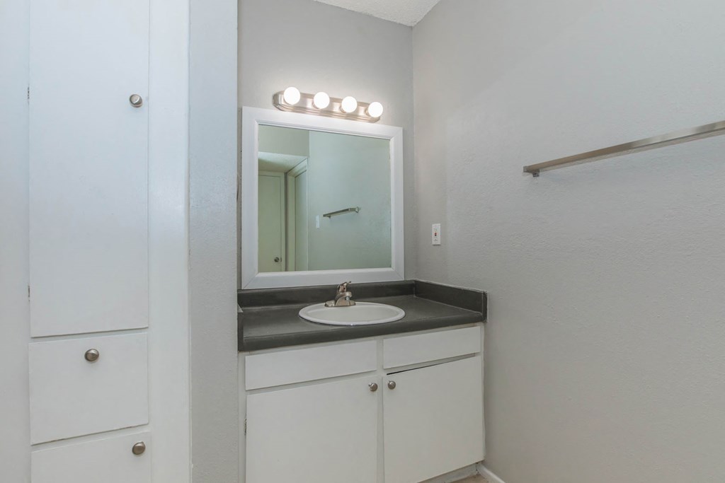 a bathroom with a sink and a mirror