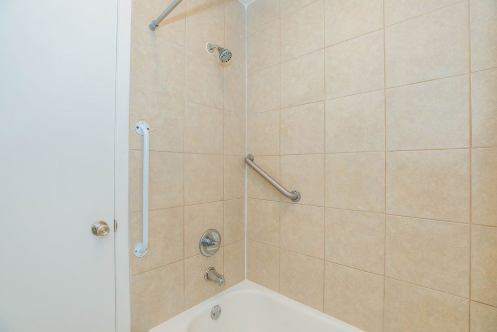 a shower with grab bars in a bathroom