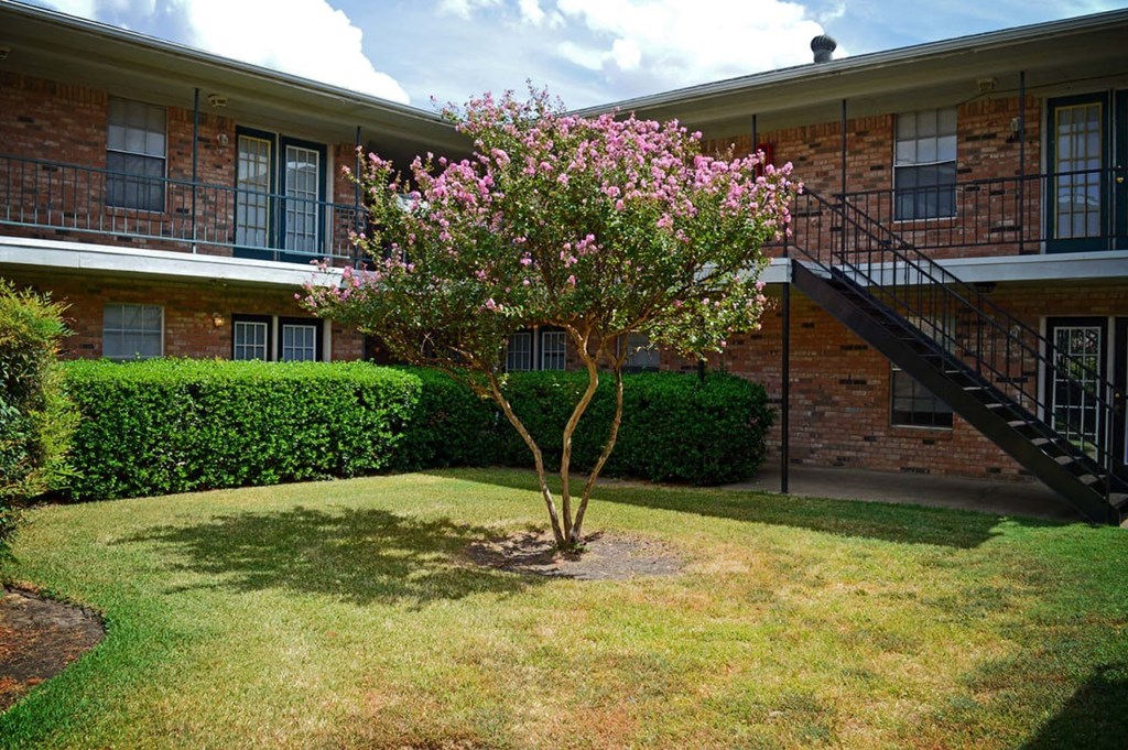 A tree with pink flowers is in the front yard of a brick apartment building, ,Sherman, TX, 75092