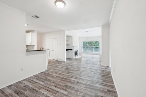 Entrance view of  kitchen and living area.