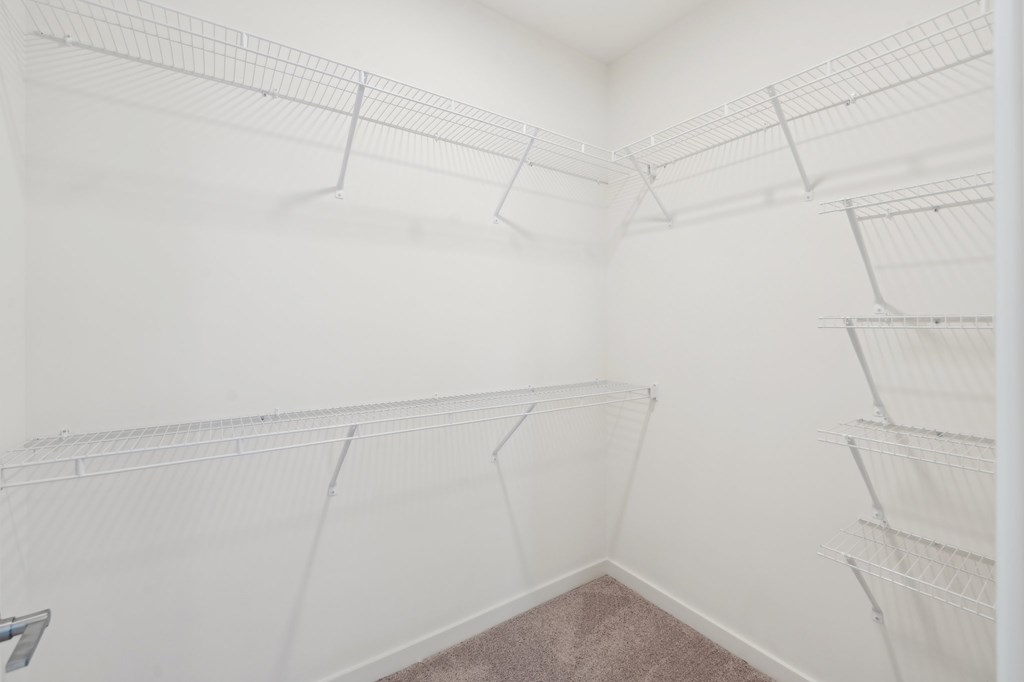 Spacious walk-in closet with shelves.