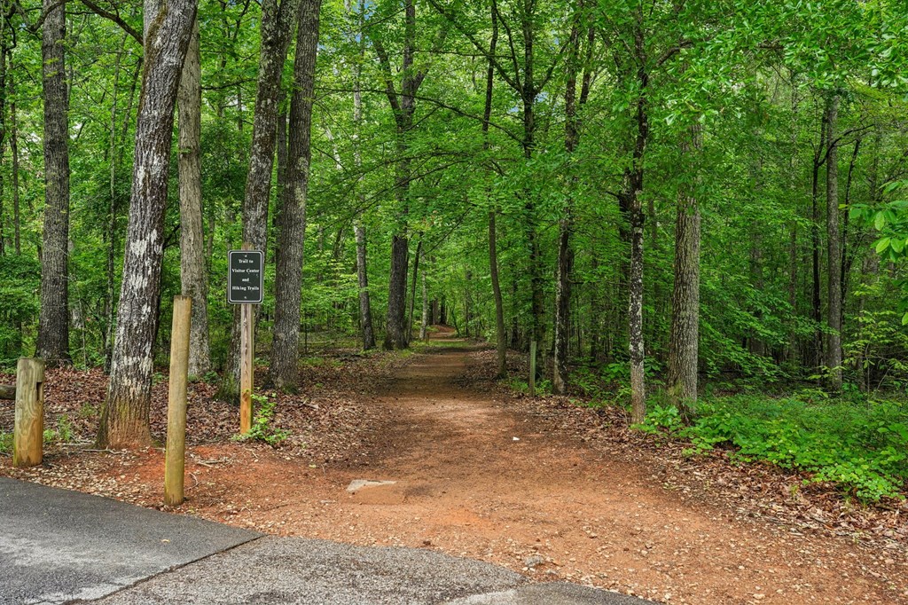 Trail in wooded area.