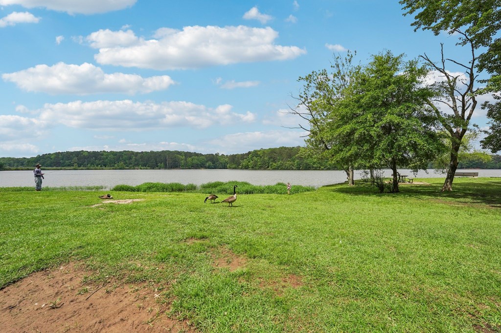 Sweetwater Creek Park