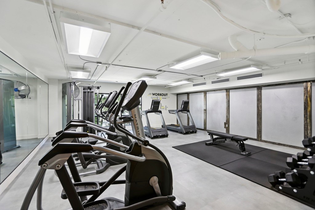 A gym with treadmills, elliptical machines, a bench, and free weights.