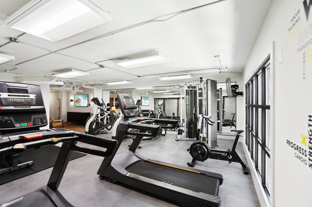 A gym with treadmills, exercise bikes and other equipment.
