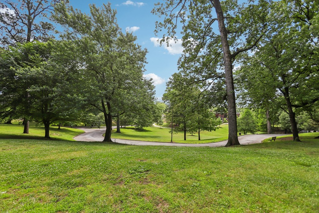 A park with a pathway and trees.