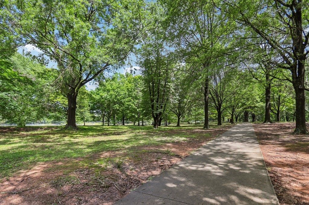 A tree-lined walkway in a park.