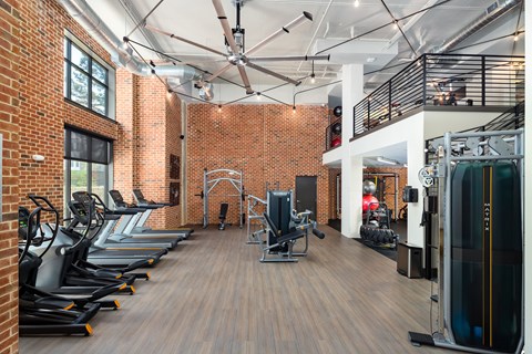 A gym with treadmills, weights and exercise machines.