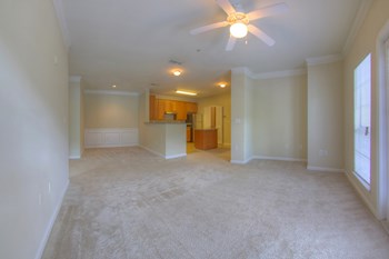 Luxury Apartments in Lithonia| Wesley Providence Apartments | Ceiling Fans - Photo Gallery 18