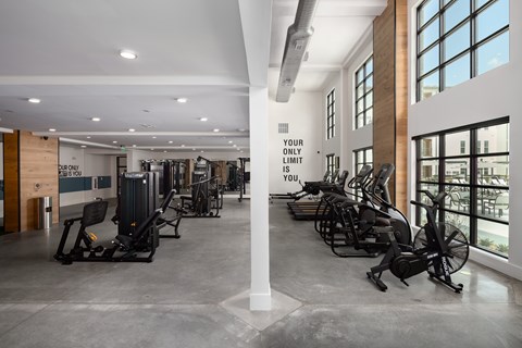 a gym that fits all your needs for any HIIT workout with ellipticals, free weights,treadmills, yoga mats, leg press, smith machine, and motivation