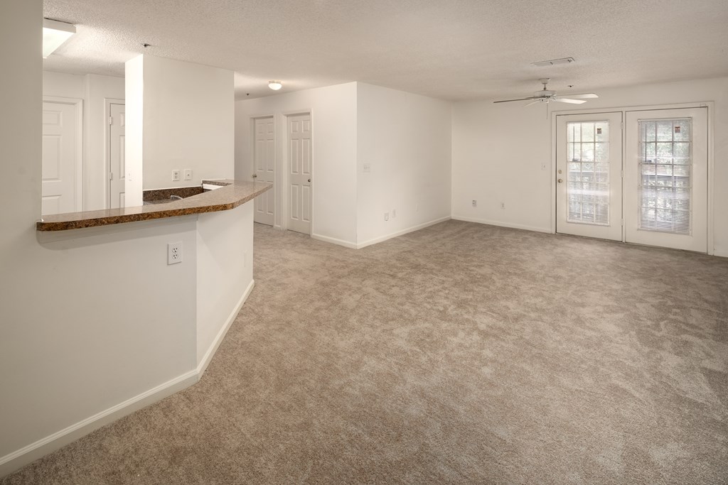 View From Your Future Dining Room