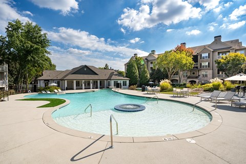 Lagoon Style Pool