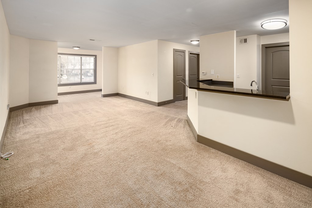 Renovated Apartments