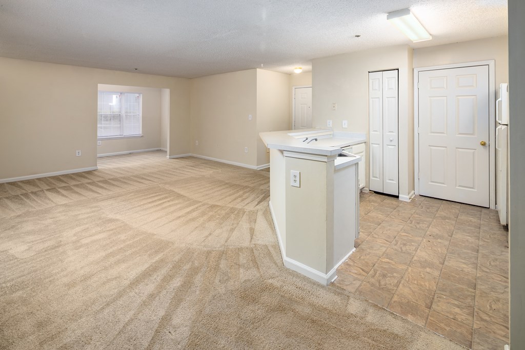 Living Room and Kitchen