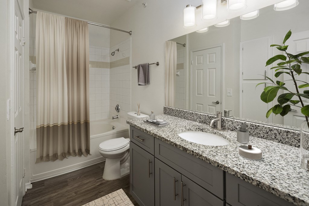 Renovated Apartment Homes