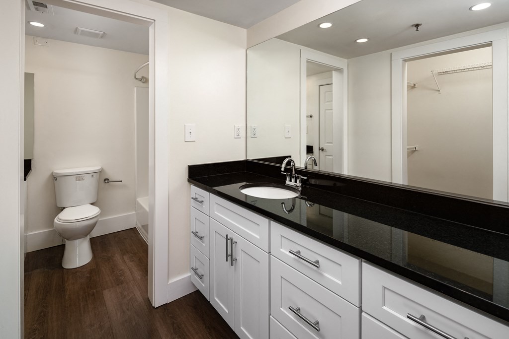 Bathroom with lots of counter space!