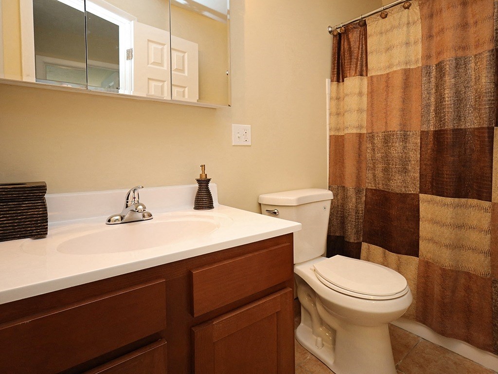 Model Bathroom at Willoughby Hills Towers Apartments, Willoughby Hills, OH 44092