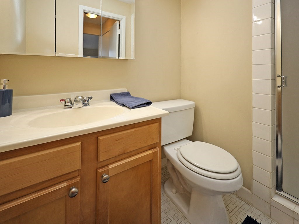 2 Bedroom 2 Bath Model Suite Master Bathroom at Harbor Crest Apartments, Euclid, OH, 44123