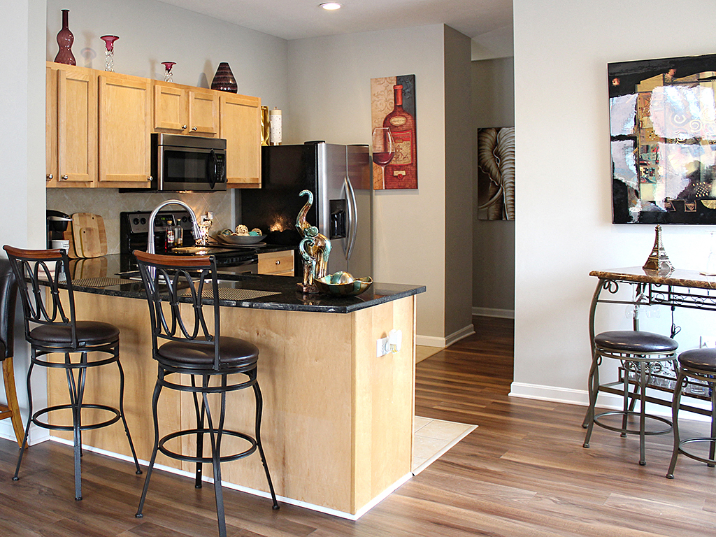 The Residences at 668 Upgraded Model with Hard Surface Flooring at The Residences at 668 Apartments, Cleveland, OH, 44114