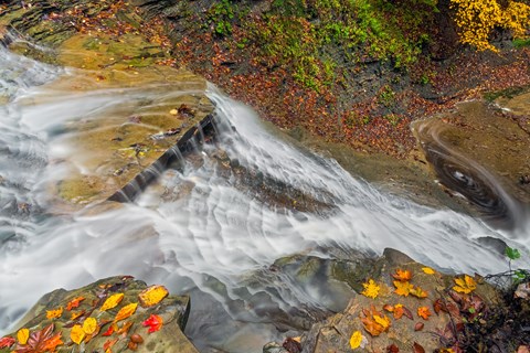 A stream flows over rocks covered in autumn leaves.