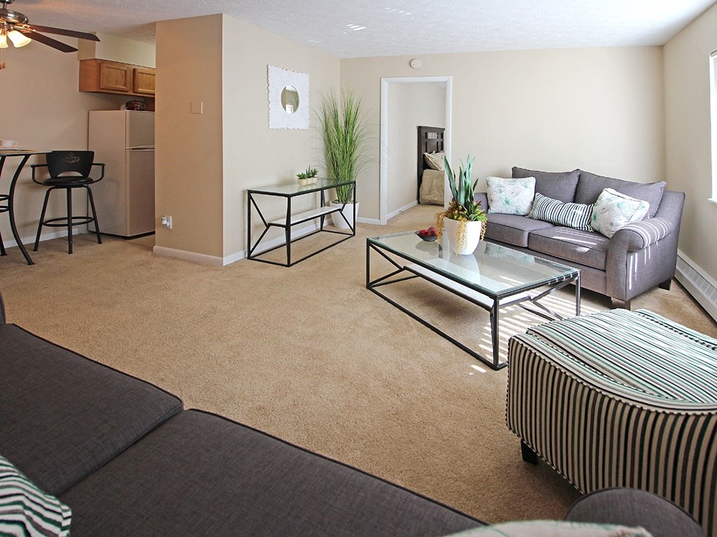 Edgewater Landing Living Room 1