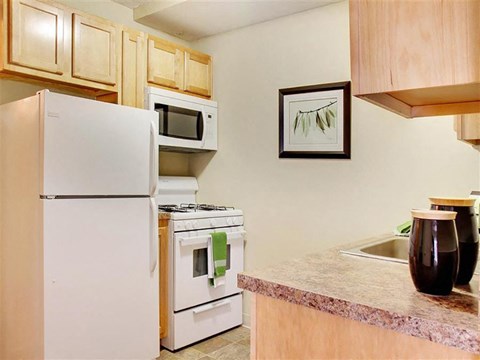 a kitchen with a stove refrigerator and a sink