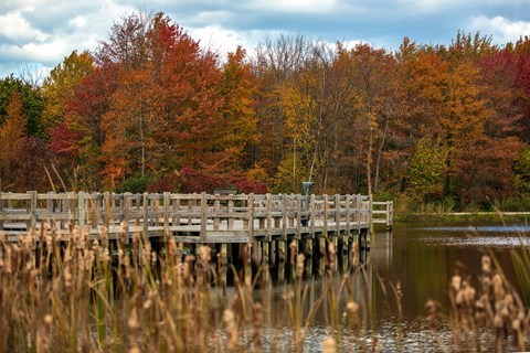 A wooden bridge over a body of water with autumn trees in the background.