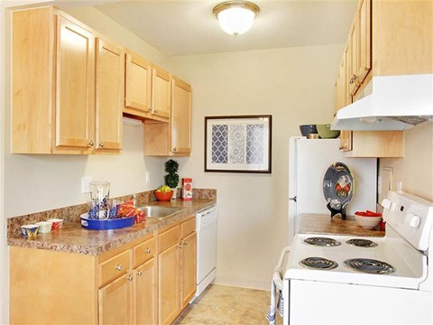 a kitchen with a stove refrigerator and a sink