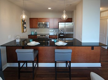 Gourmet Kitchen With Island at The Terminal Tower Residences, Cleveland, OH, 44113 - Photo Gallery 11