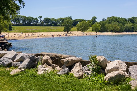 A beach scene with people swimming and a rocky shore.